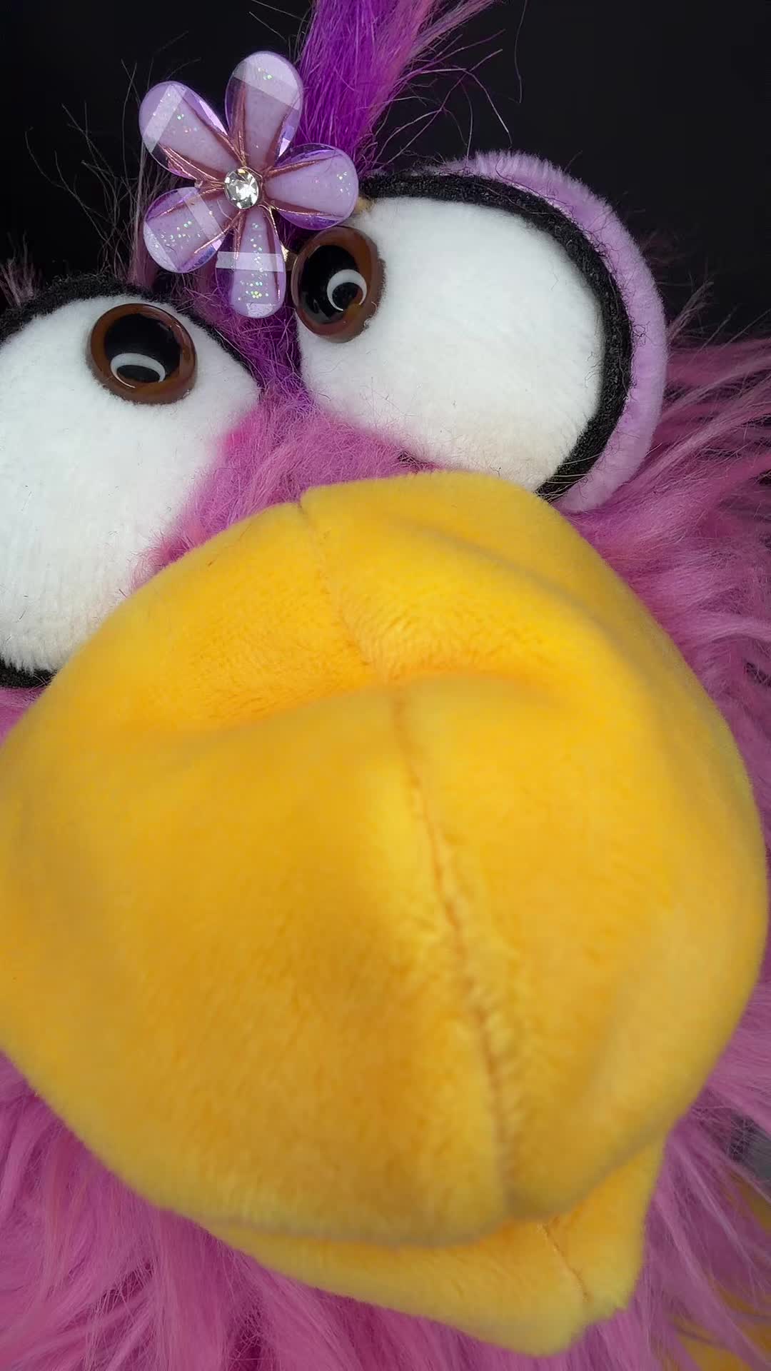 @CrAzYpUpPyS