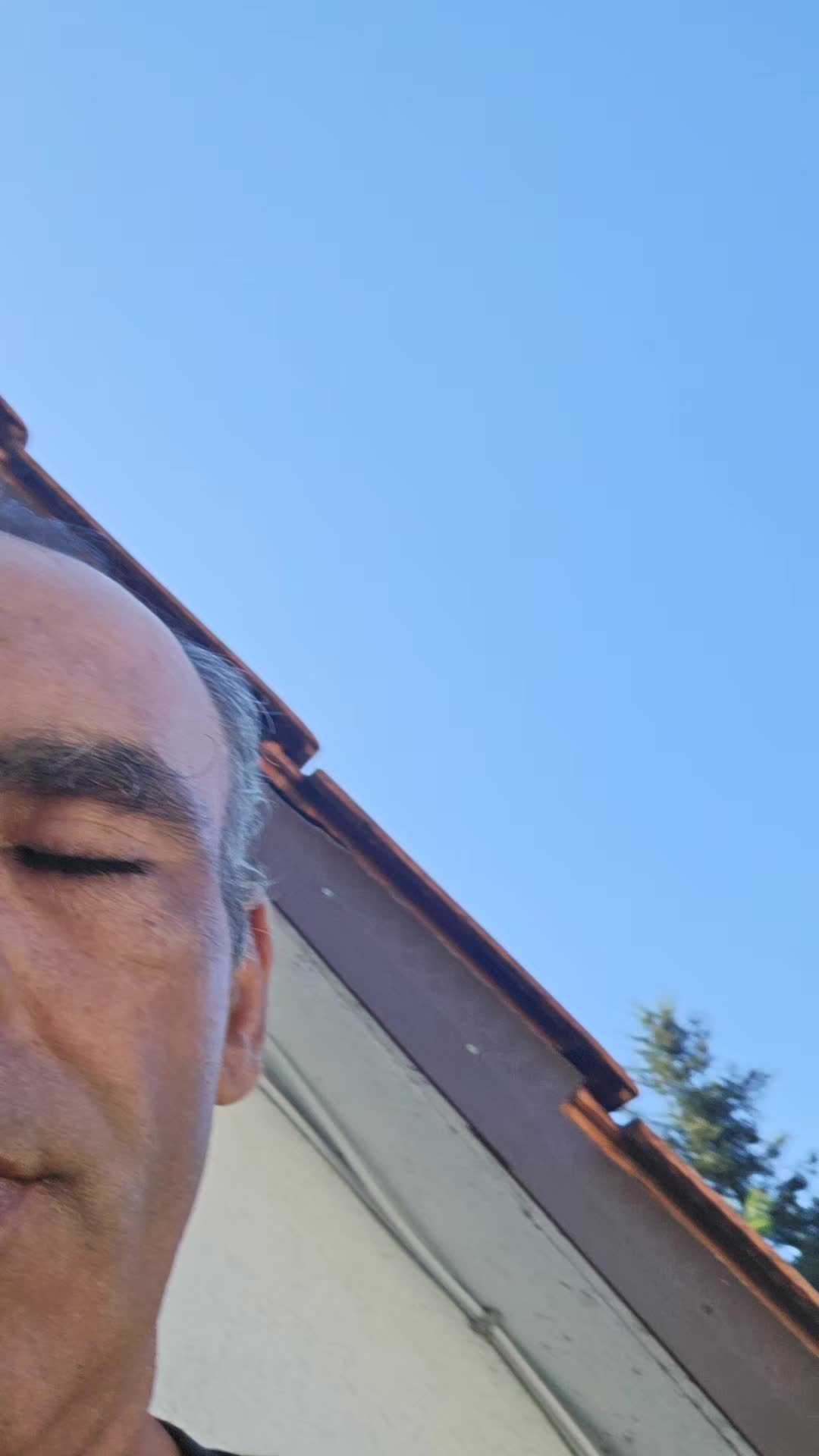 @luigi salvatore