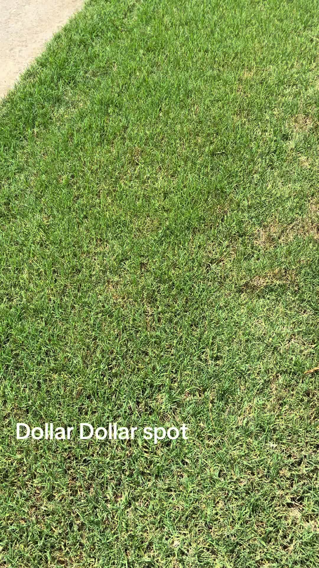 @frontporchchatter