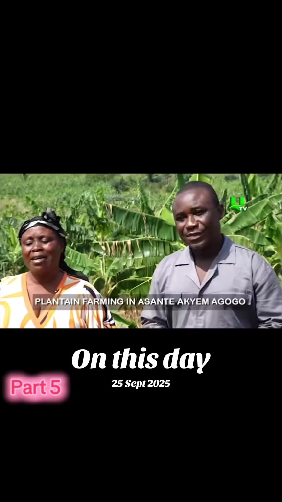@Agogo Connected