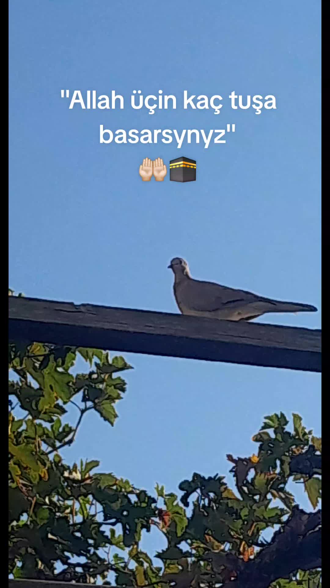 @...