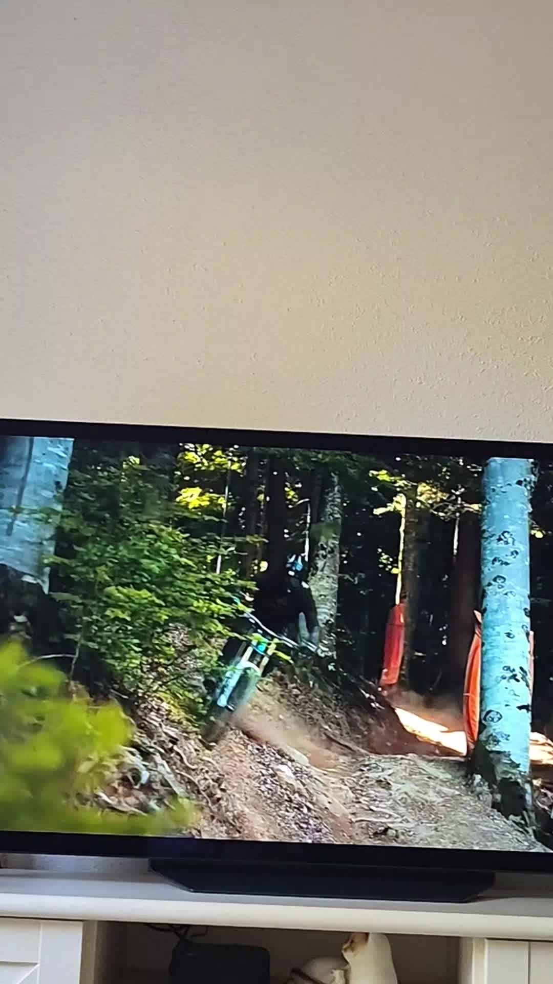 @mtb downhill tiktok
