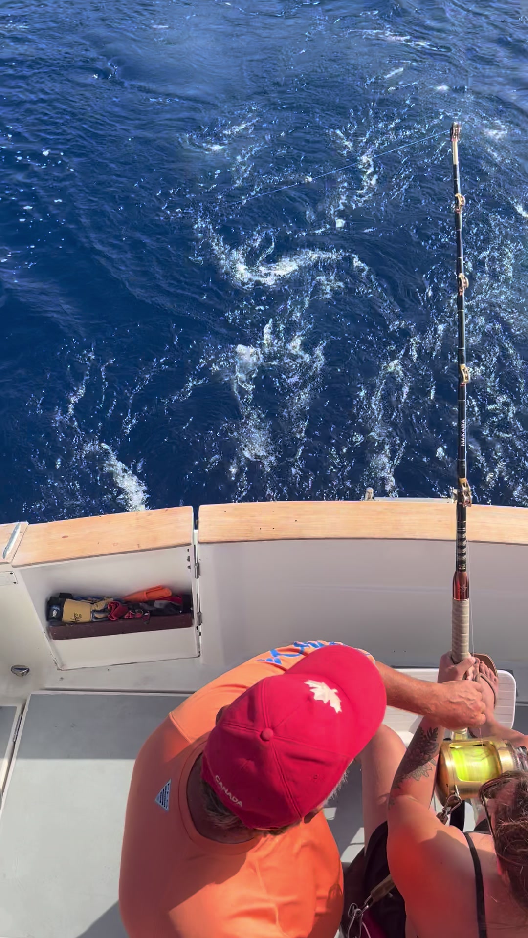 @Flipper II Madeira Fishing