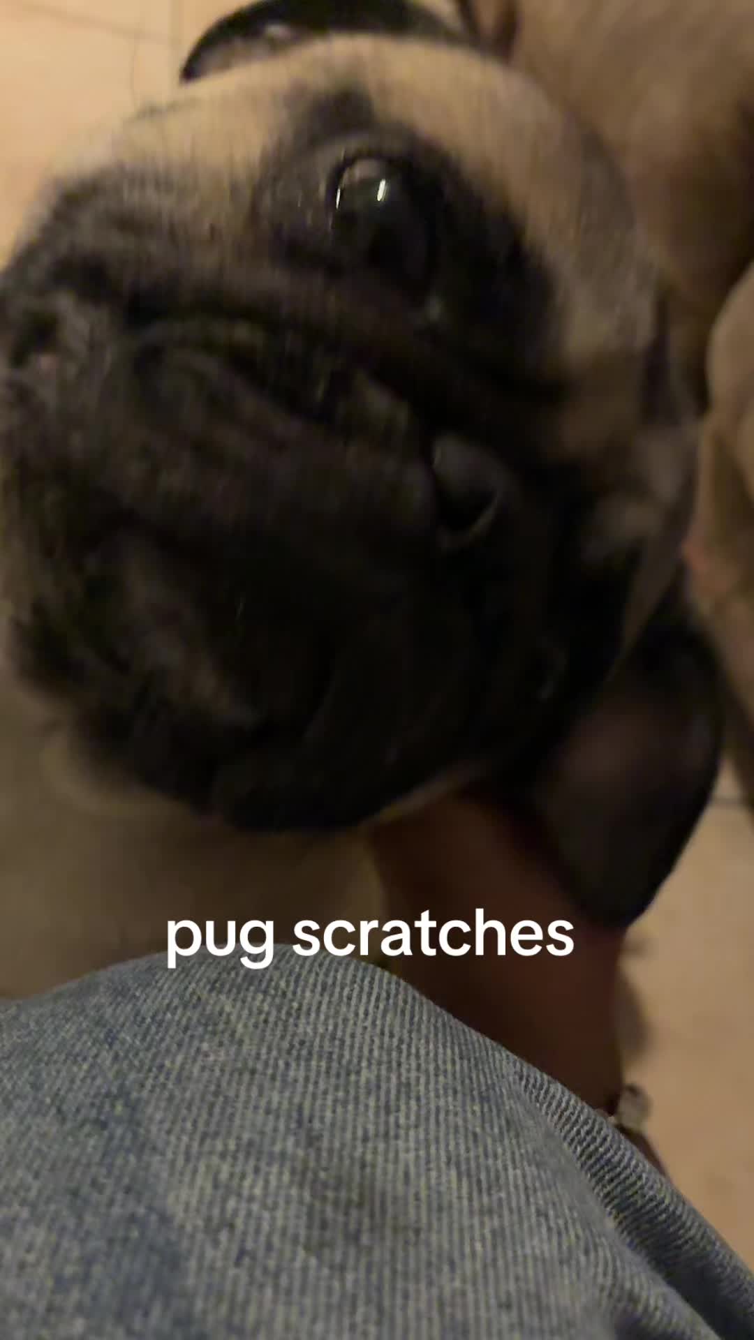 @•Alexa•