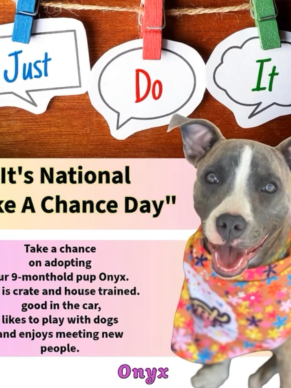 @One Love Animal Rescue Group