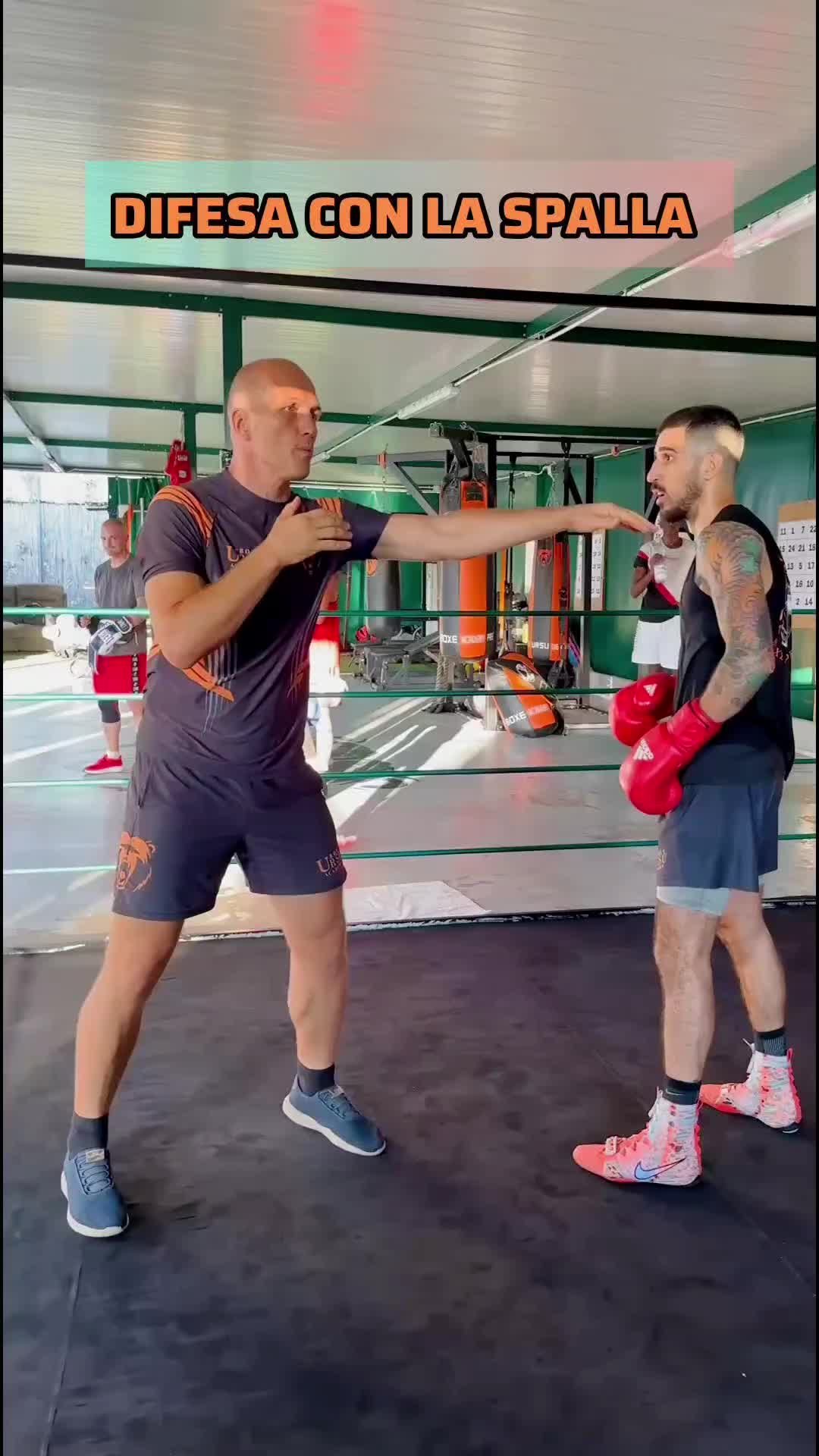 @UrsuDenisBoxeAcademy