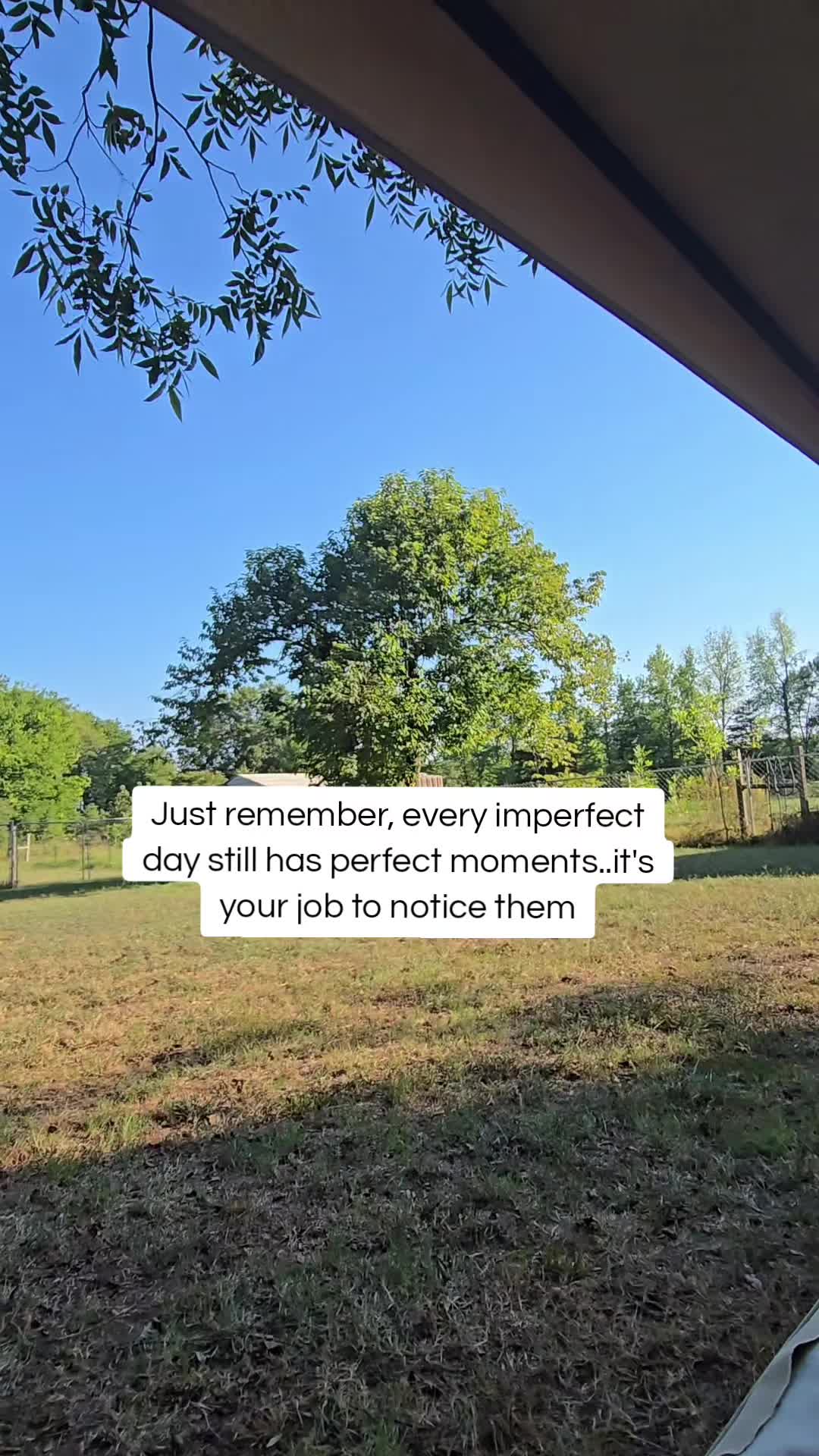 @lynnipoo