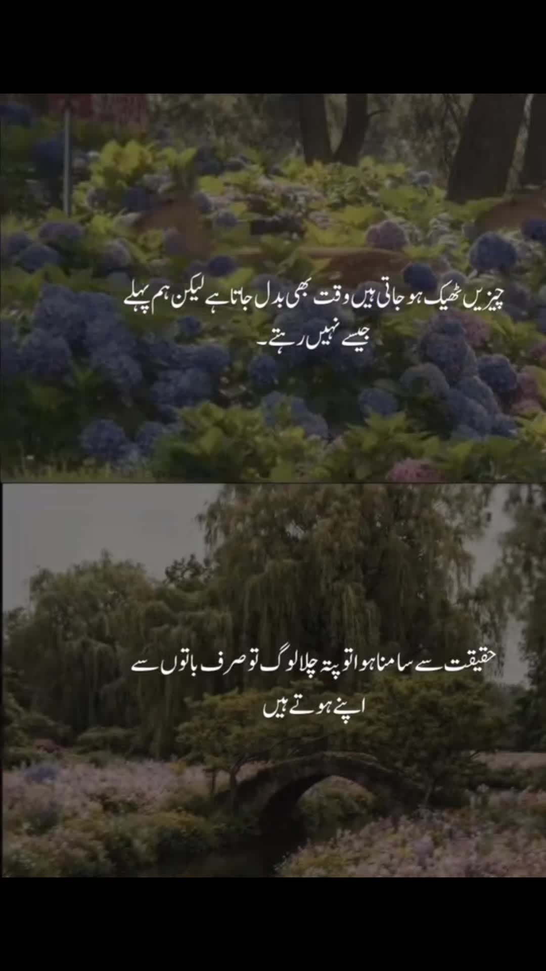 @Iqra'sHomeSweetHome