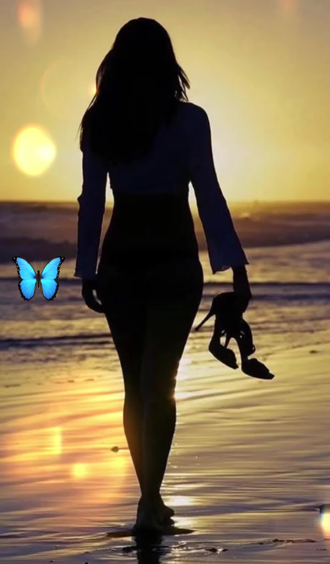 @borboleta2867
