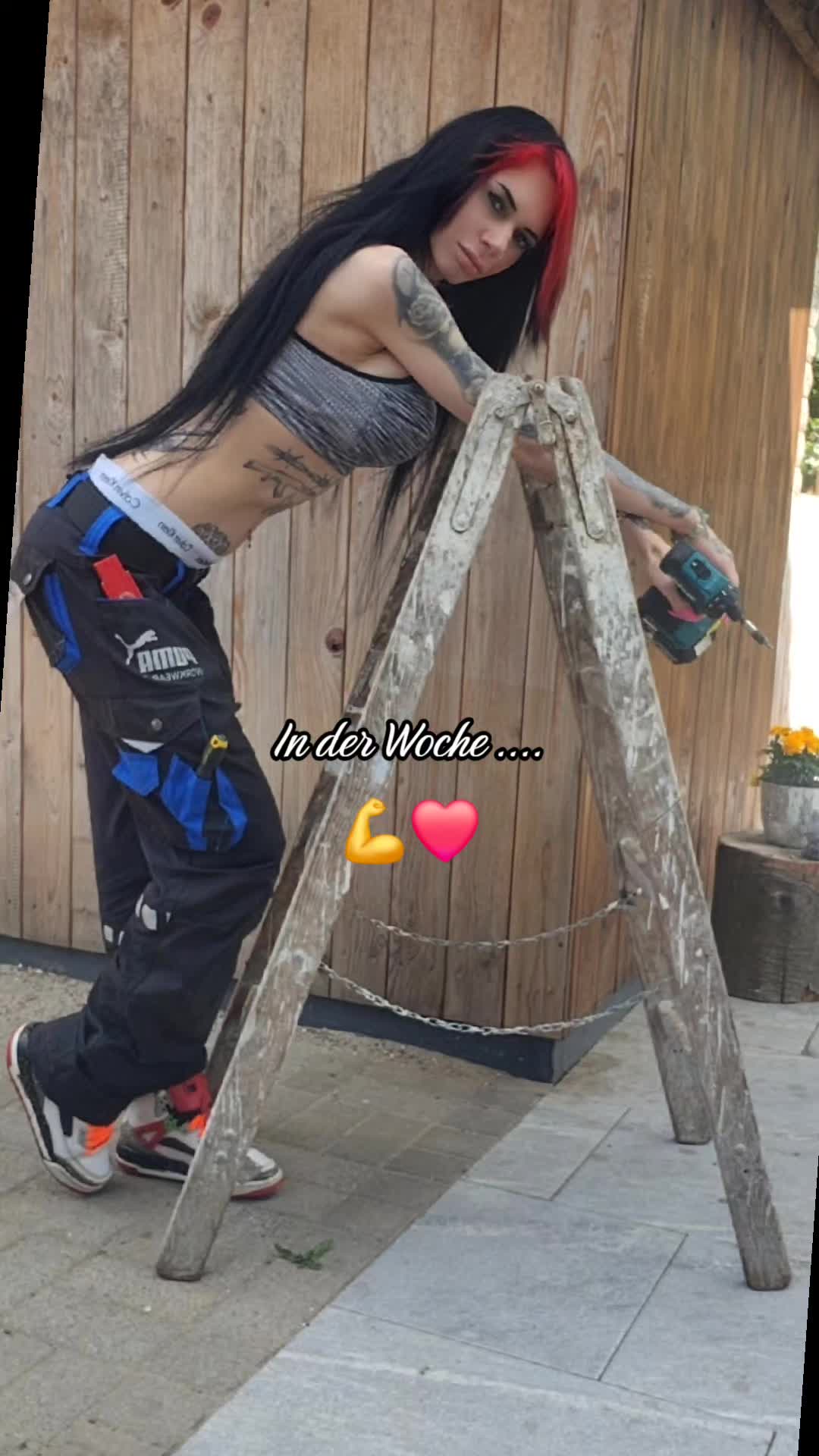 @♤🔥𝔇𝔦𝔟𝔦𝔞𝔫 ℭ𝔞𝔱 666🔥♤