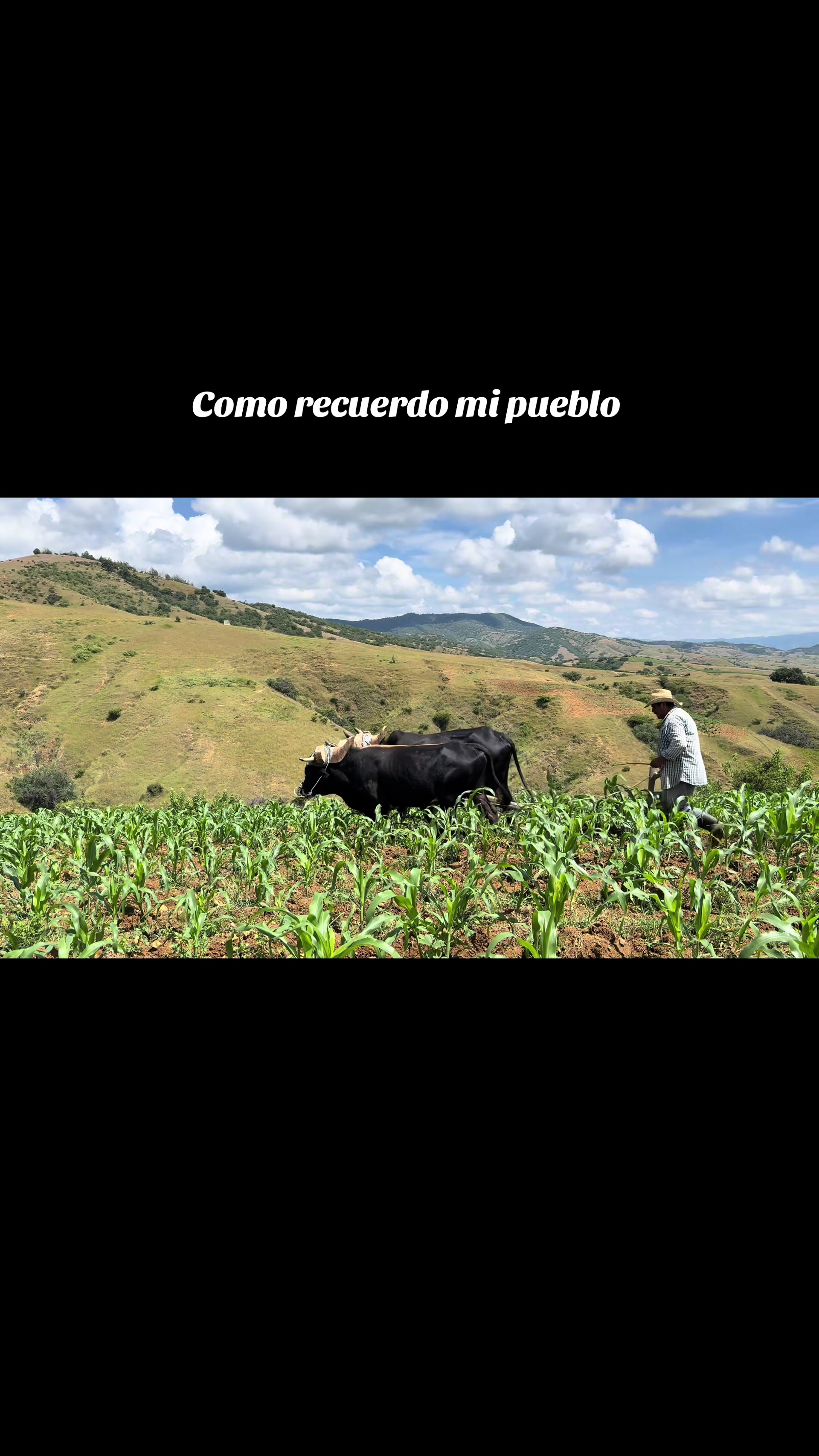 @ranchoelchaman