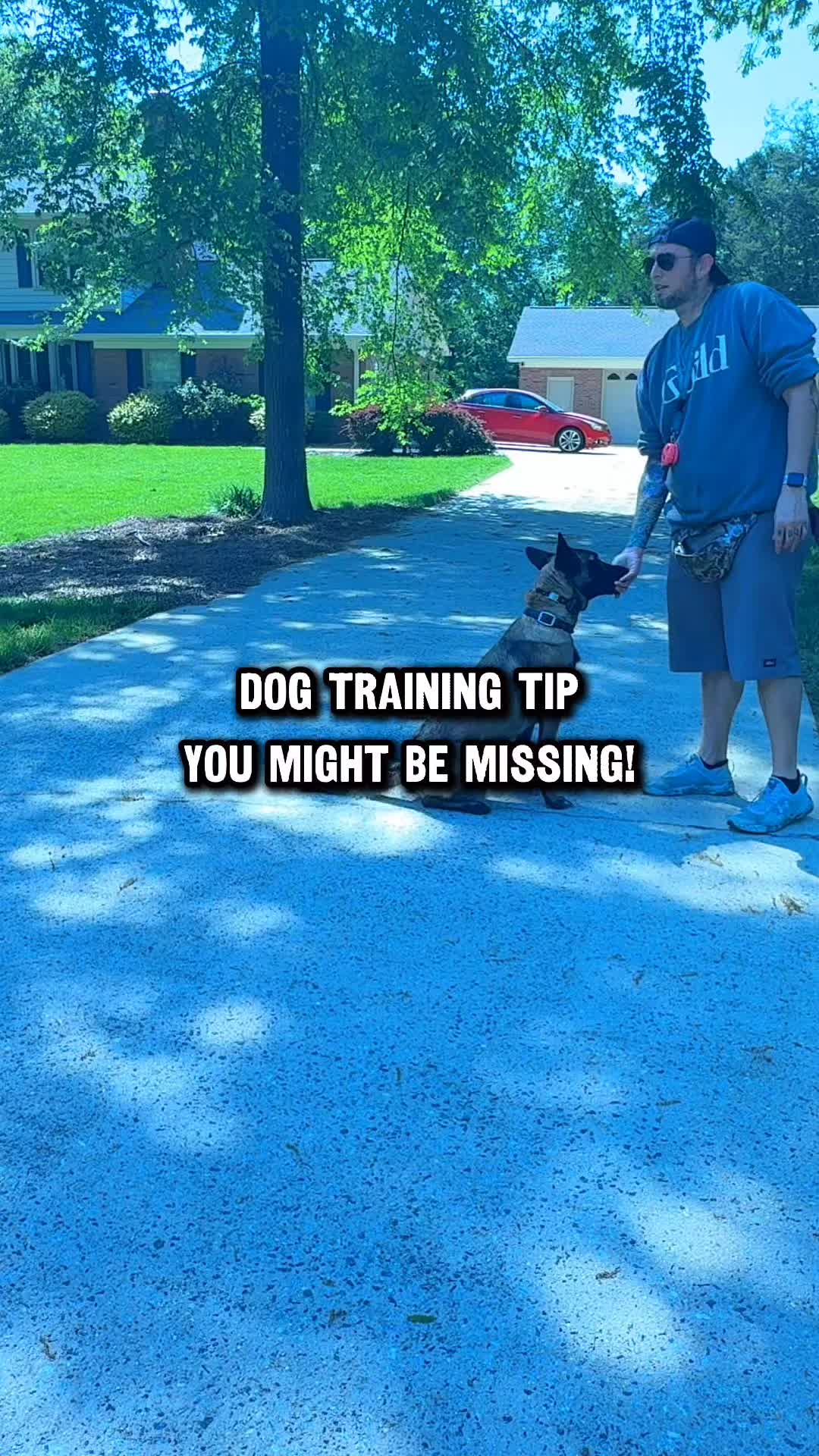 @Lost Boys K9 Academy