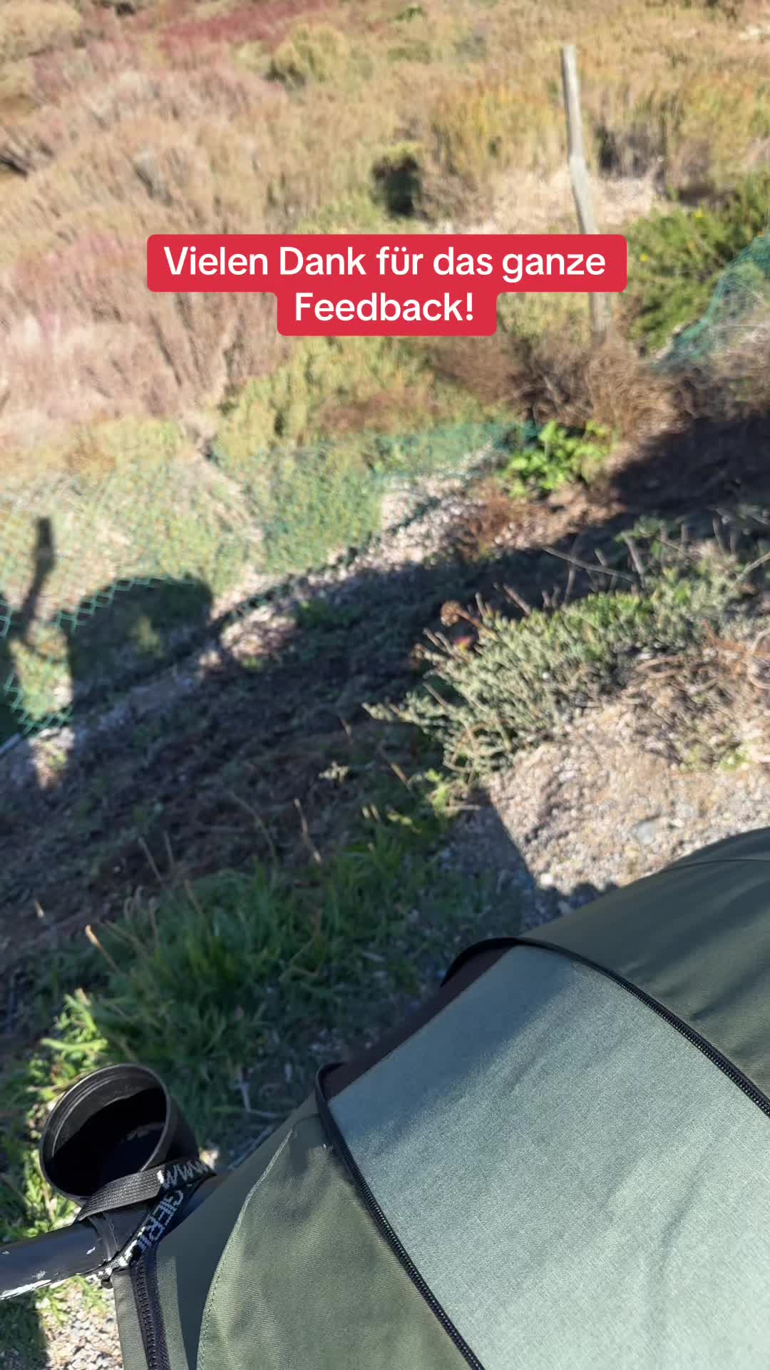 @pine.pulse