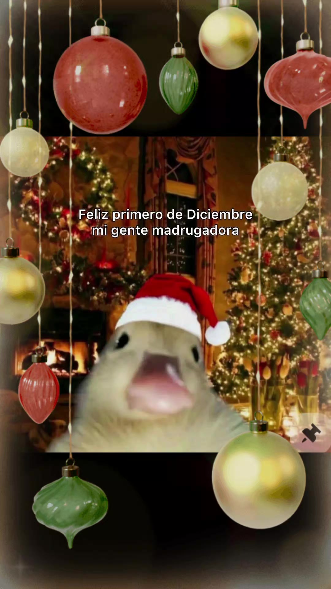 @Ali