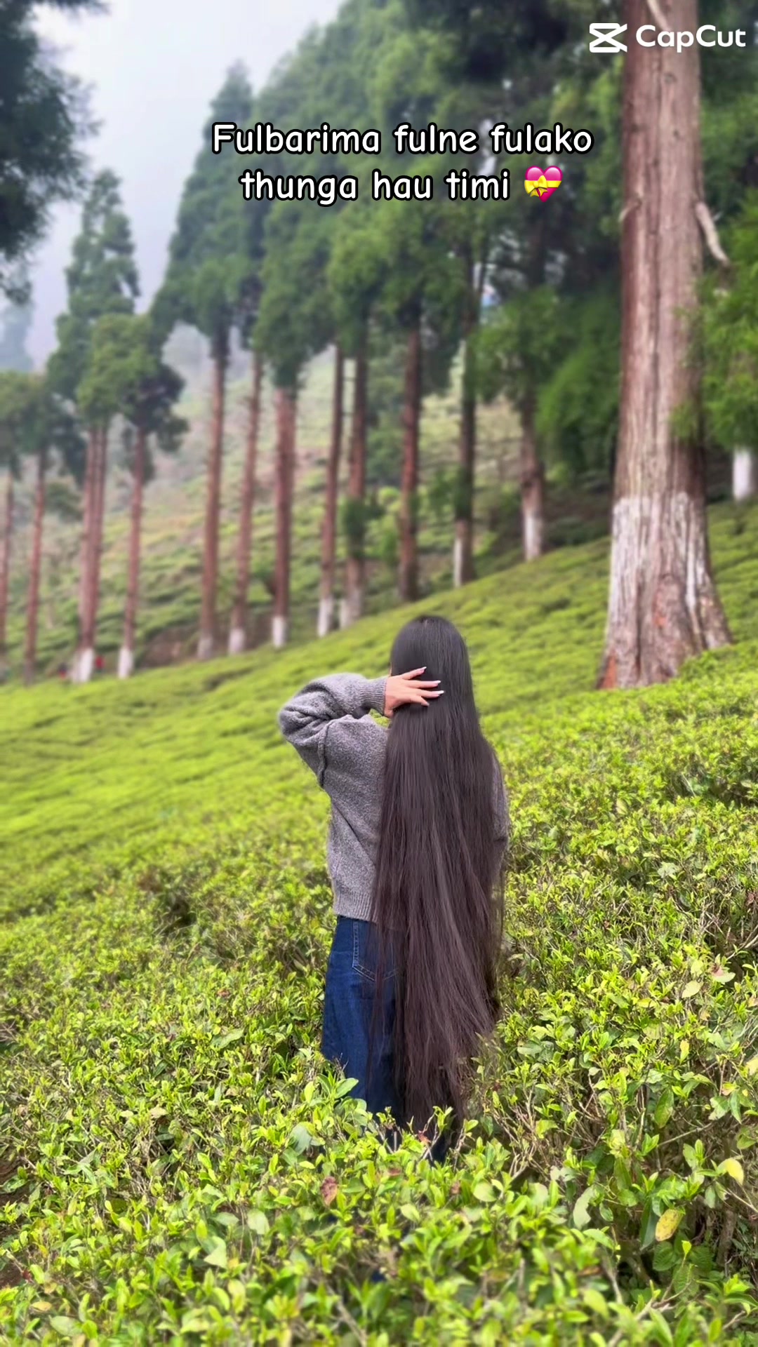 @Pratikala Rai🦚