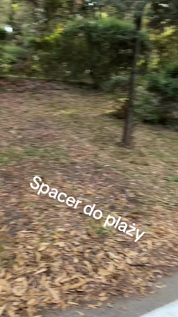 @Marek 🇵🇱🚍🚎