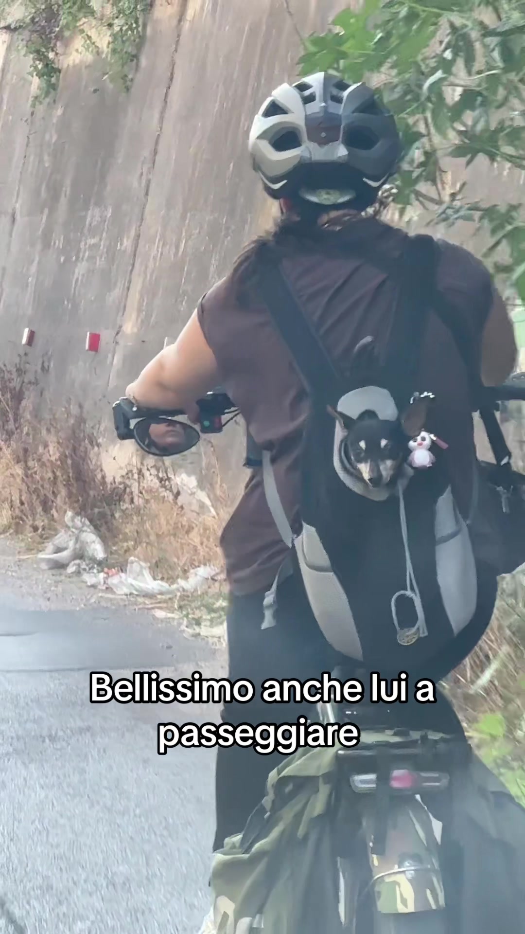 @LA FAMIGLIA DEI PAZZI🤪🤯