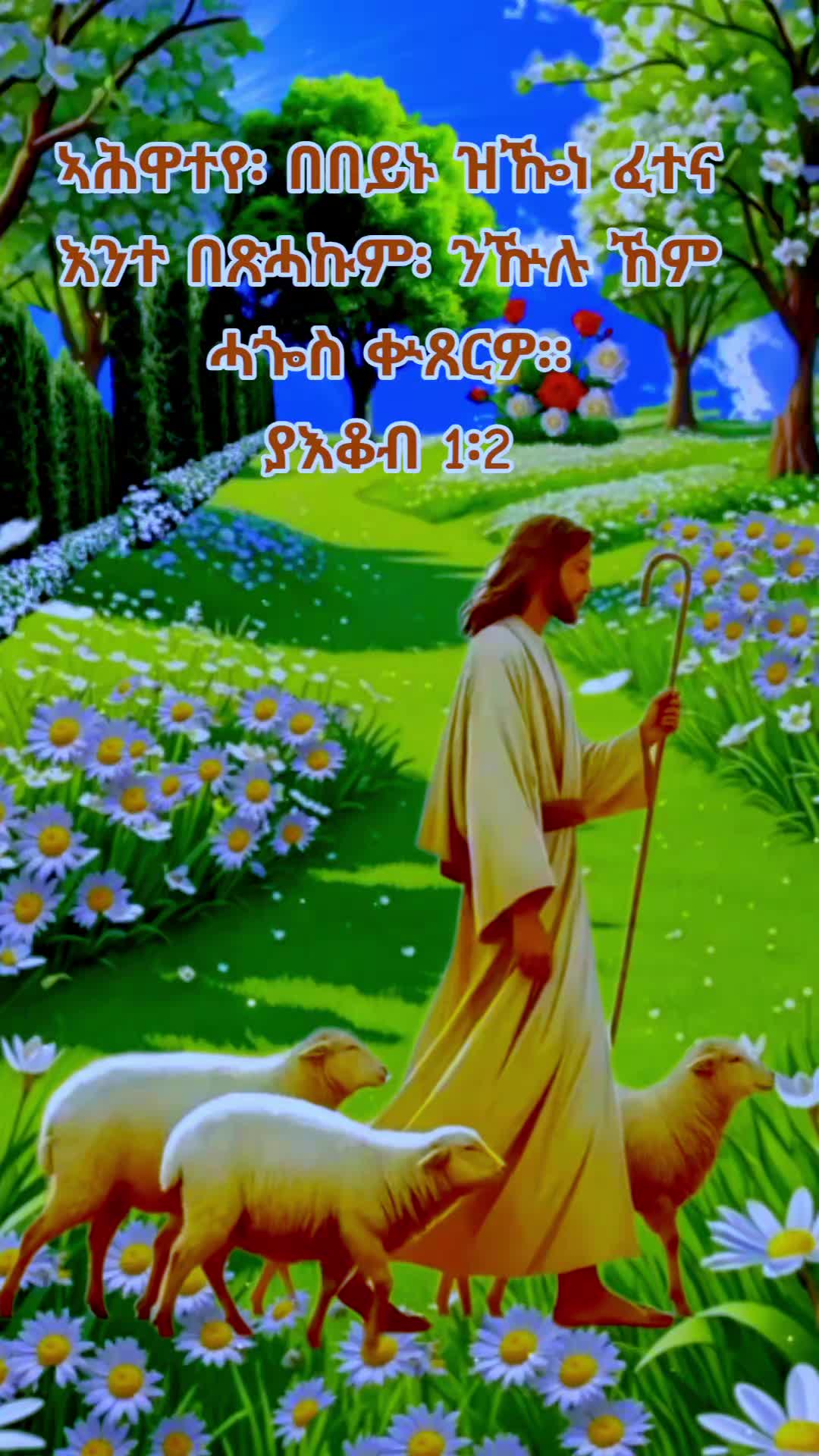 @☦️27🛐✅