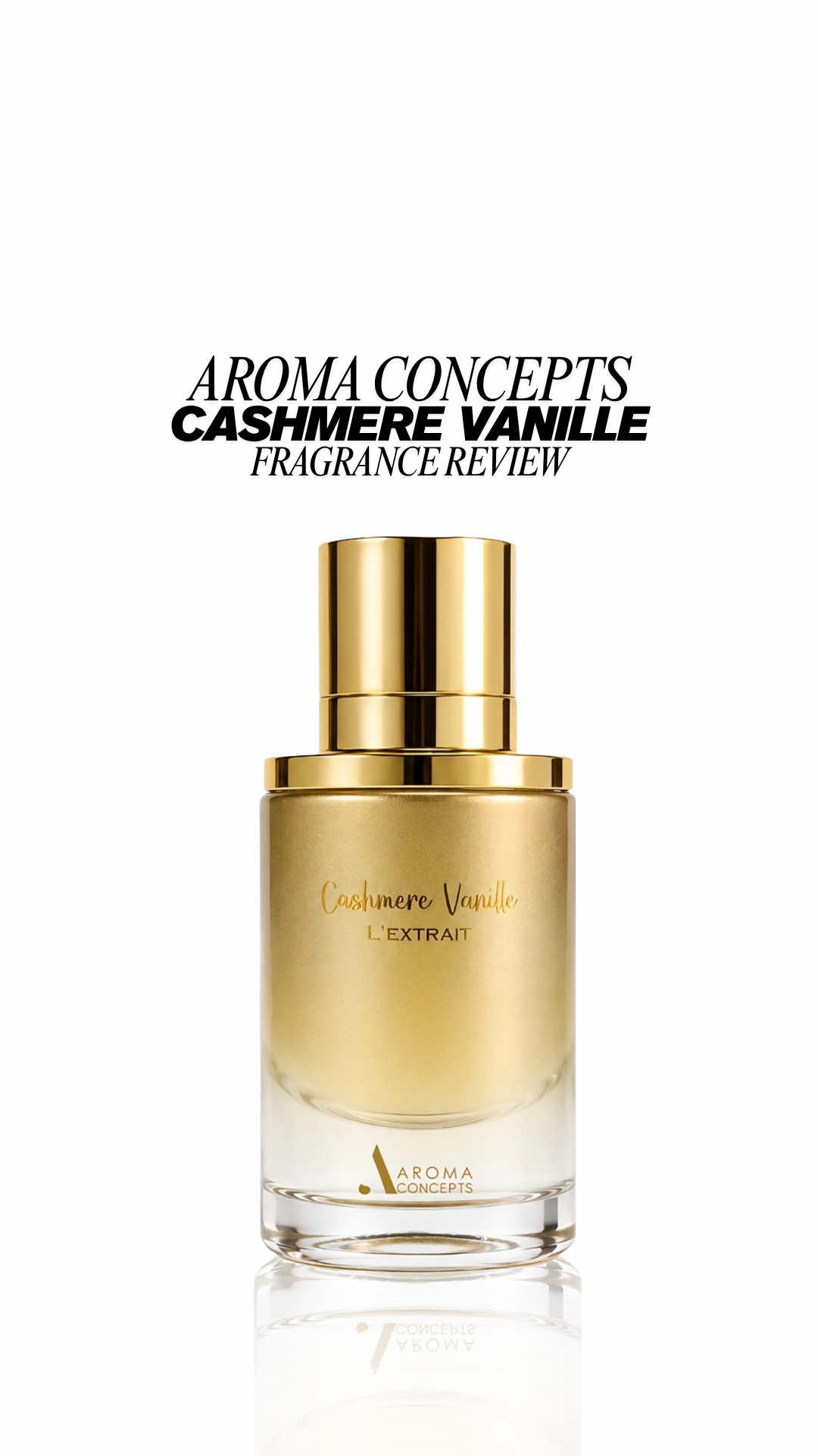 @Dante | Fragrance Reviews