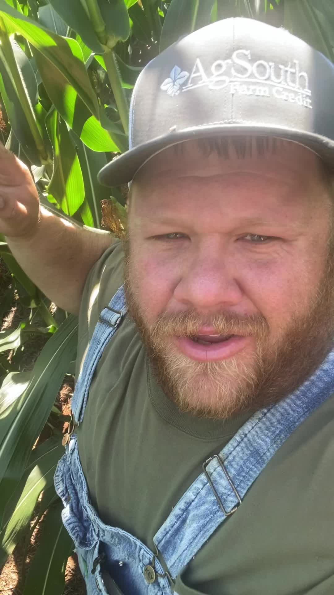 @Tarheel Farmer