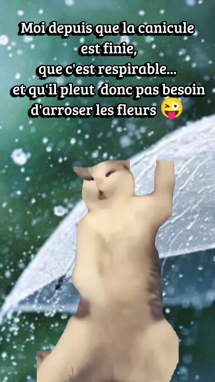 @🪷 Aur&eacute;lie 🪷