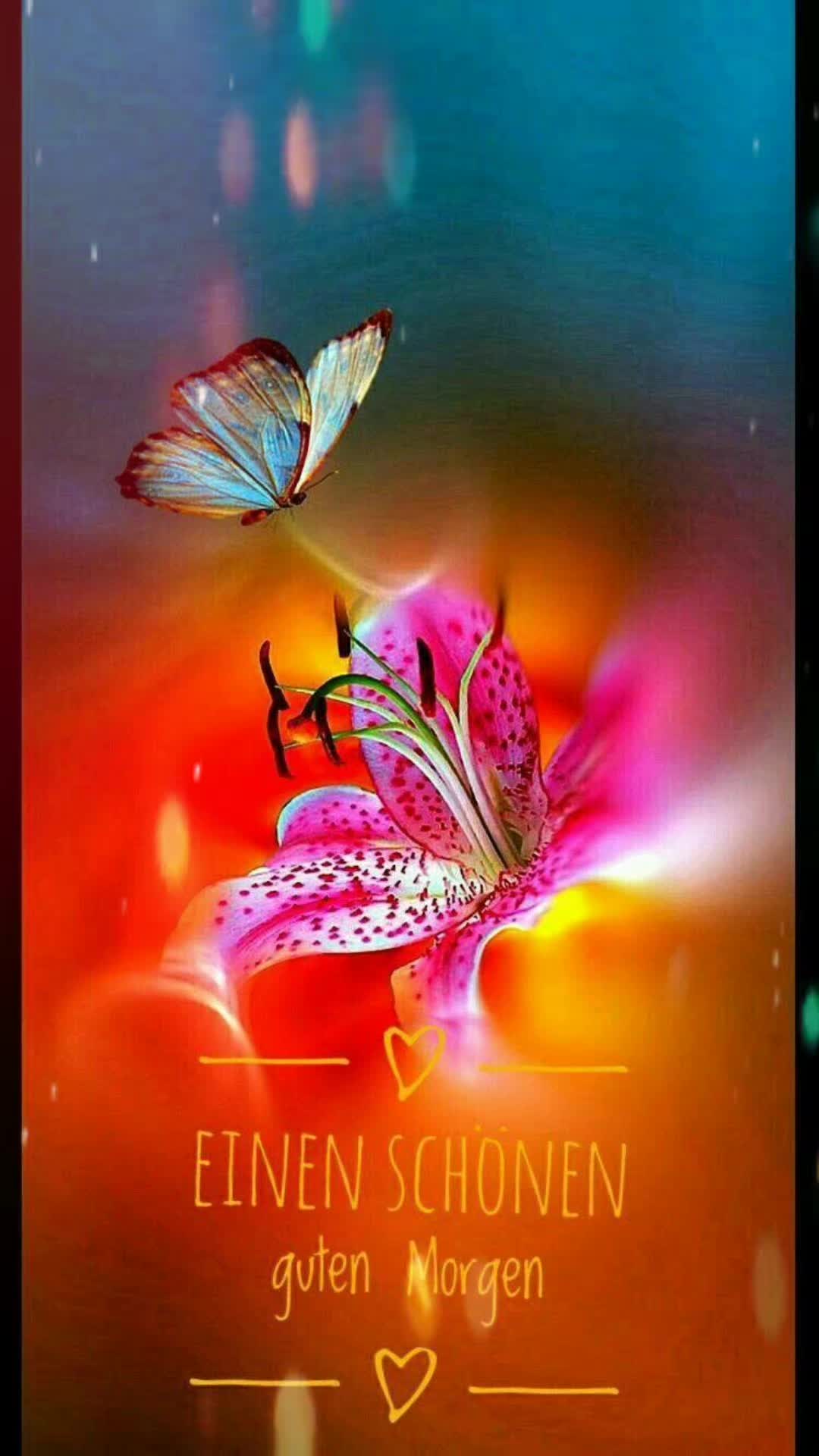 @stefangeilhausen3