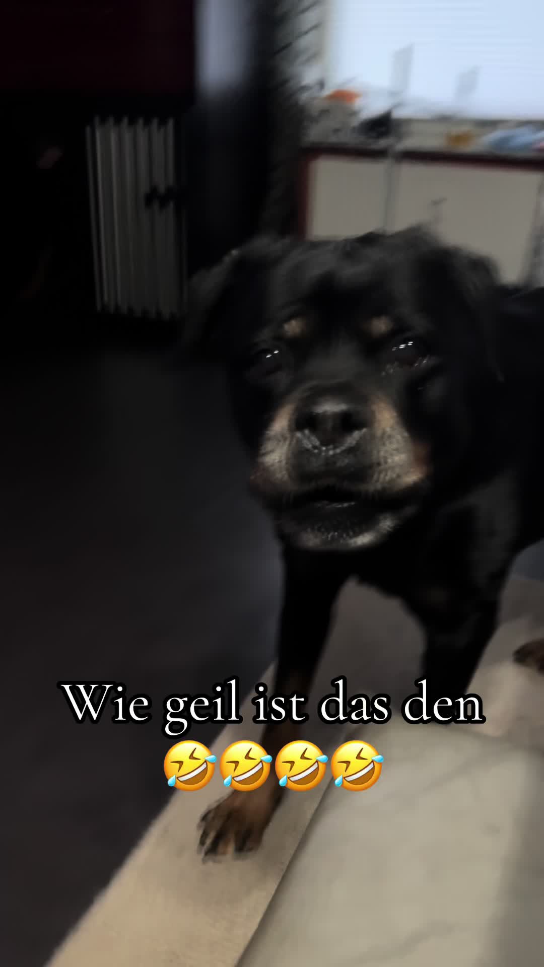 @Nancy Sternchen586