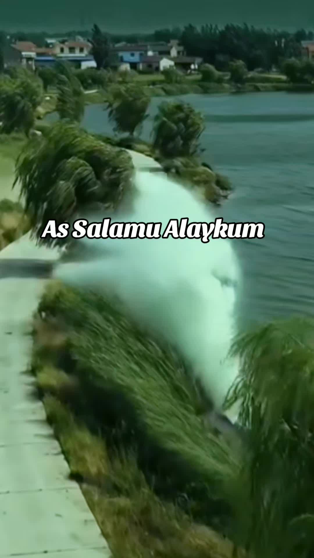 @Halima