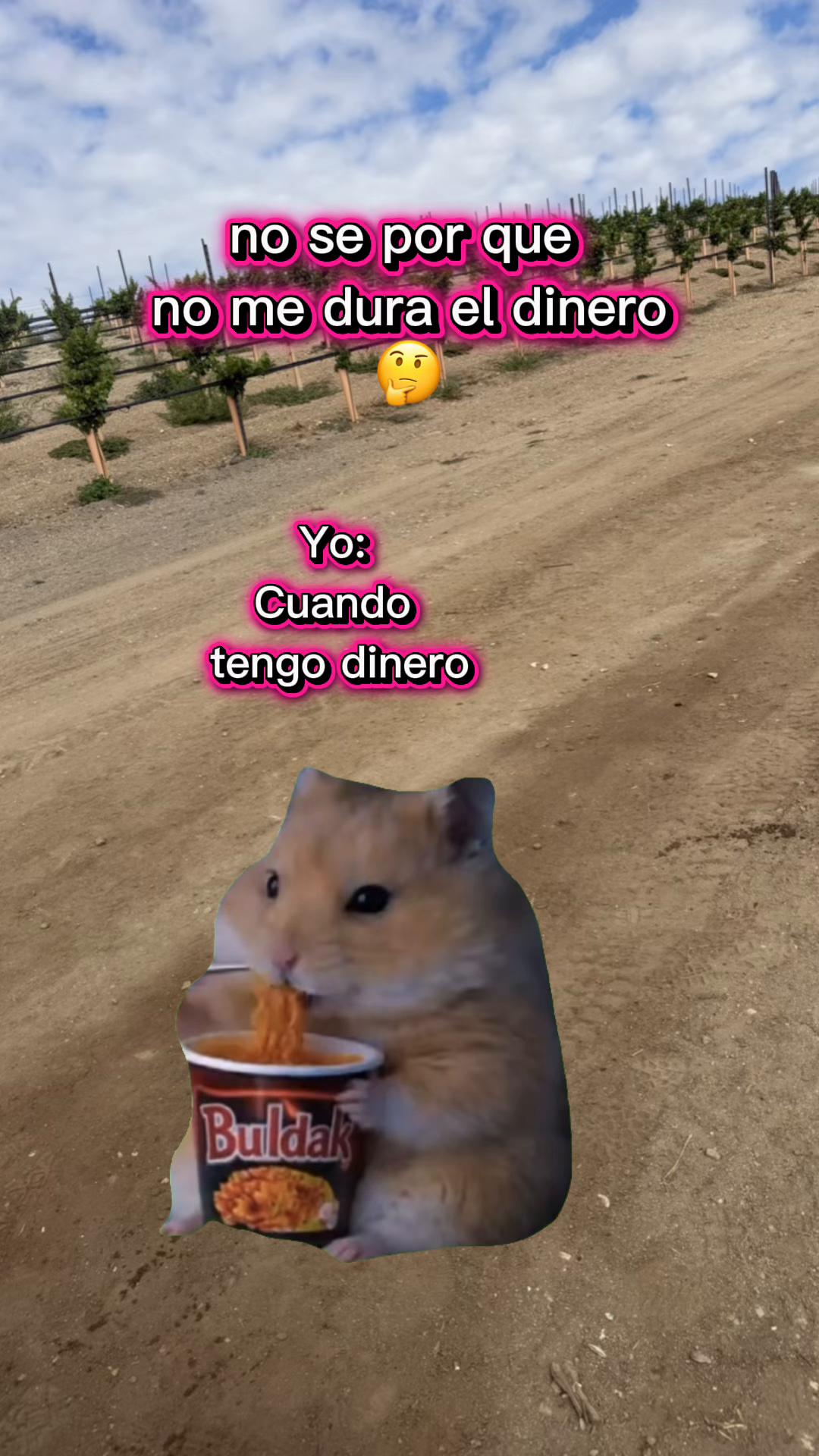 @Sandra Santiago