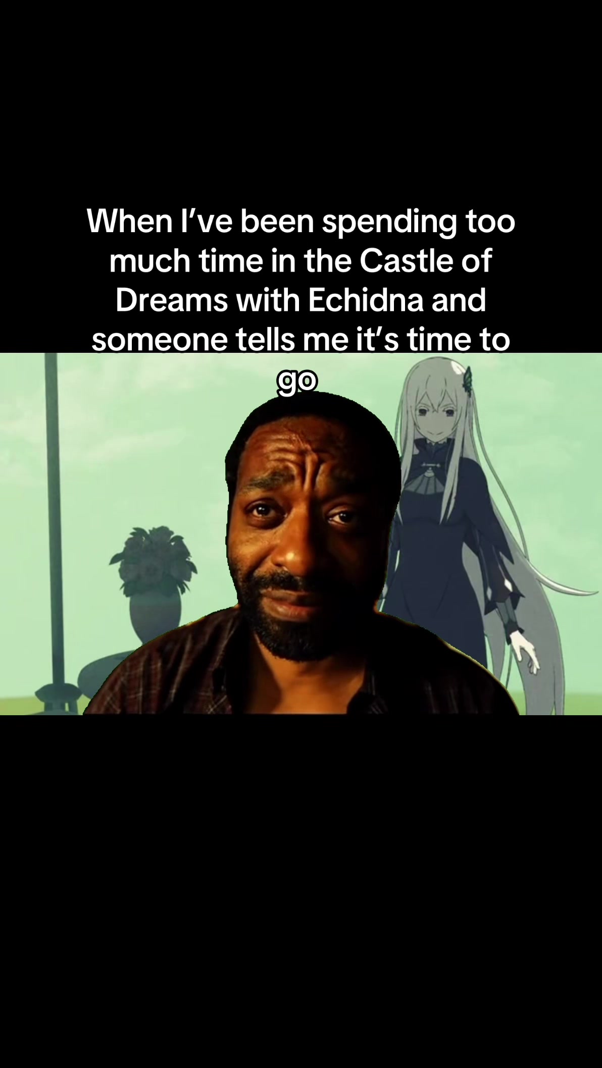 @Milkies/Echidna