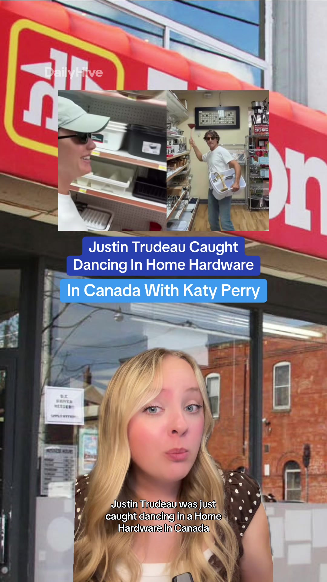@dailyhivecanada