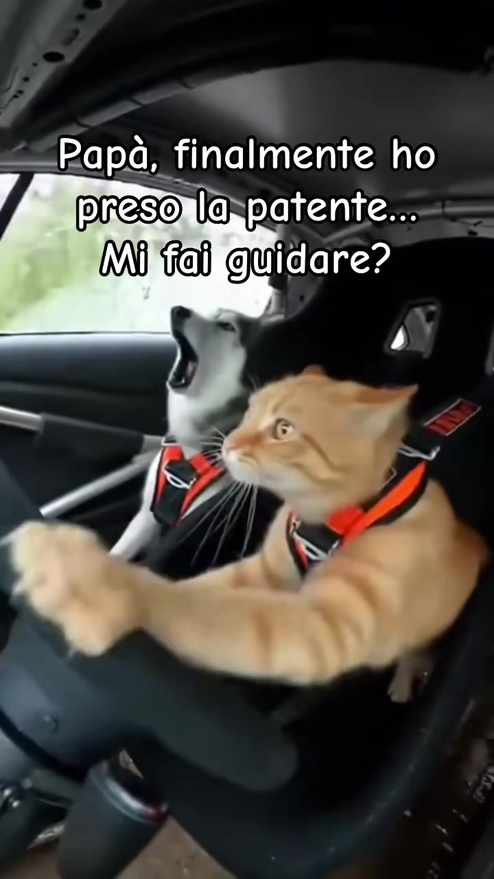 @💫Enzo💫