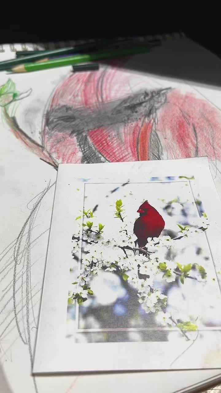 @Bc2551draws
