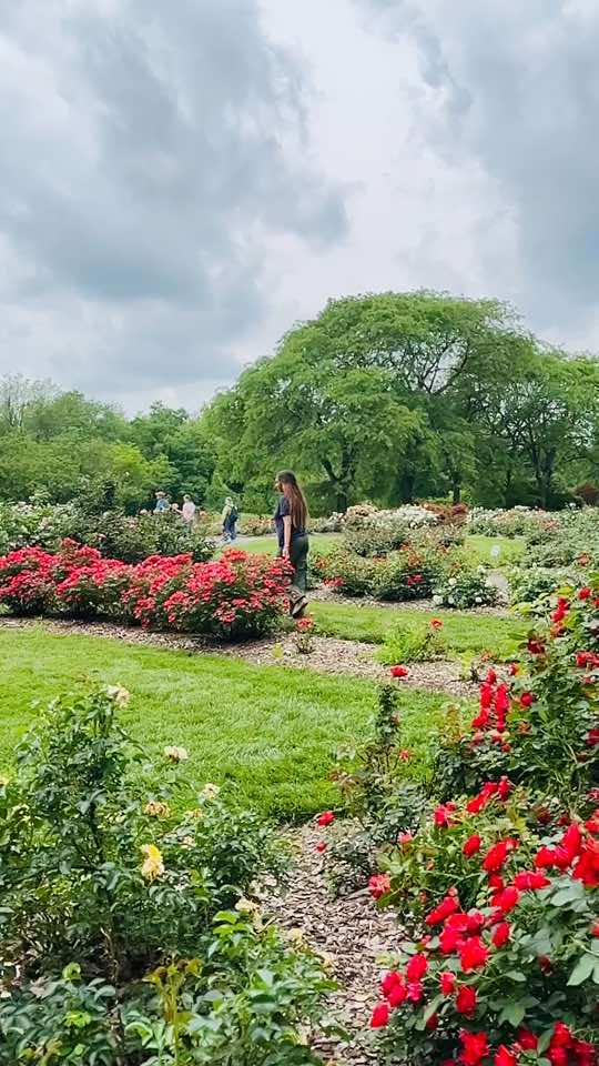 @Akshata Sharma