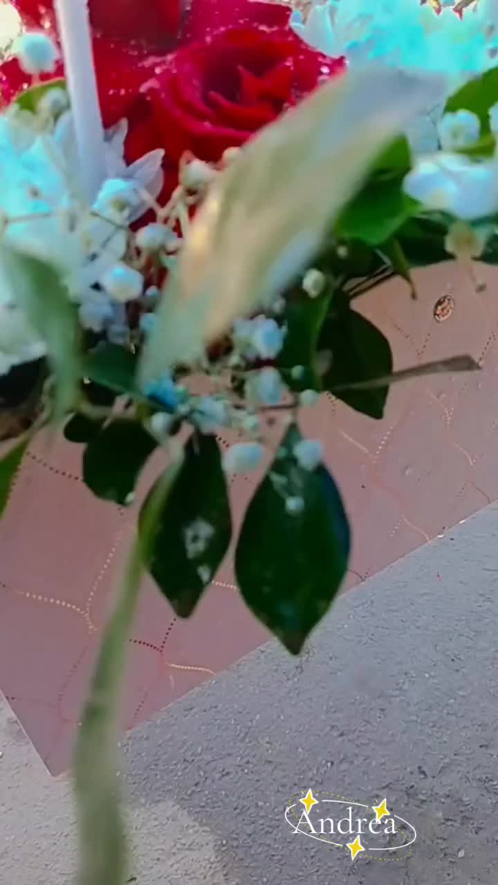 @andreacorsi298