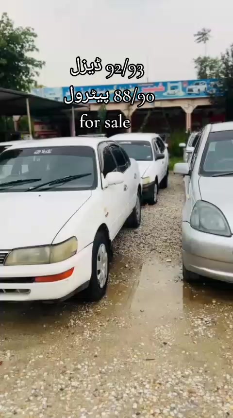 @ncpcarlover1