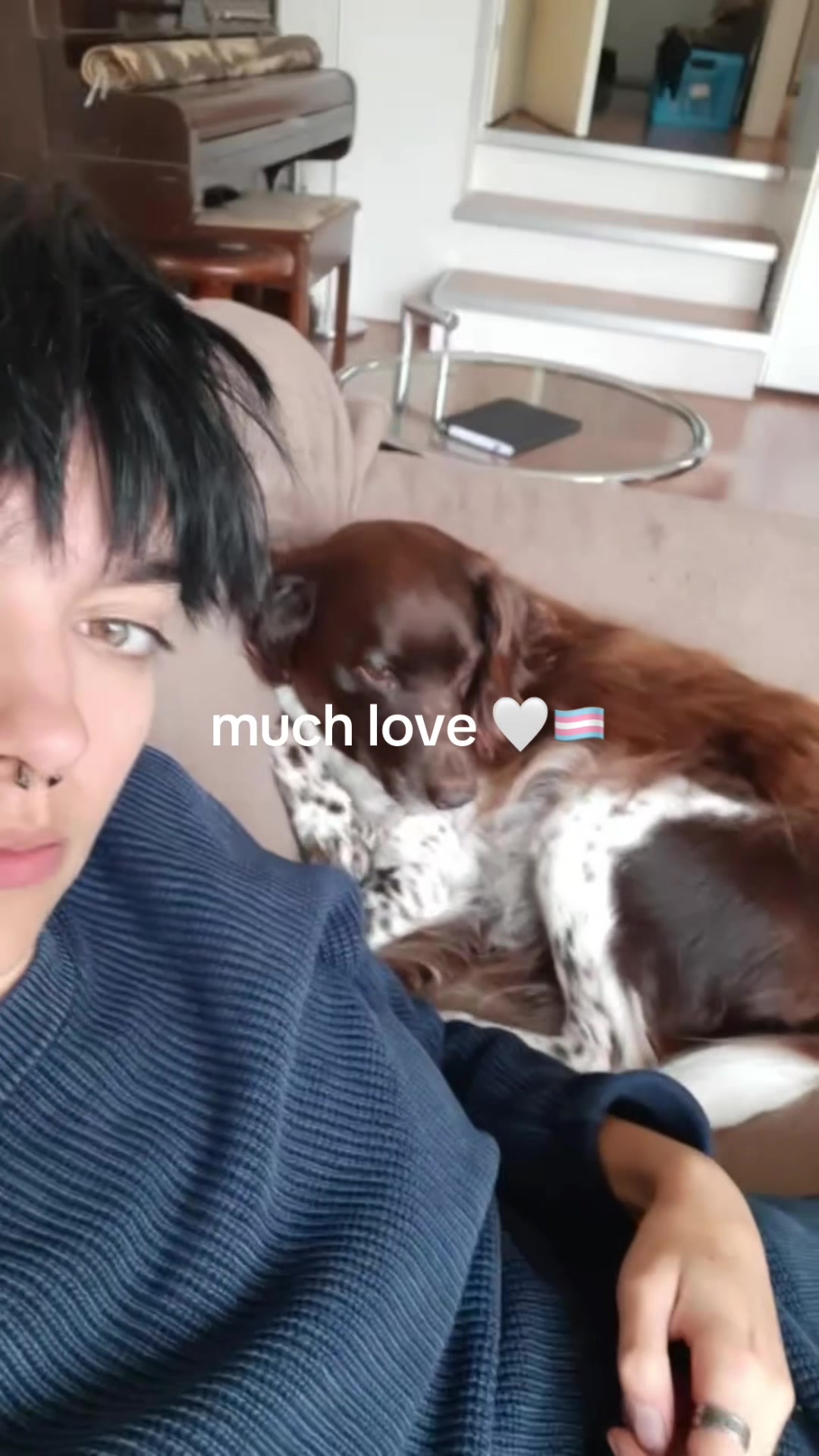 @noah