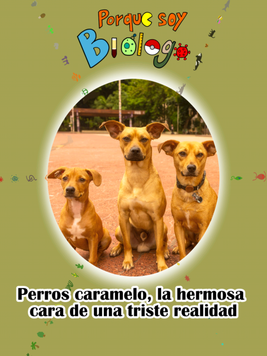 @Porque soy Bi&oacute;logo