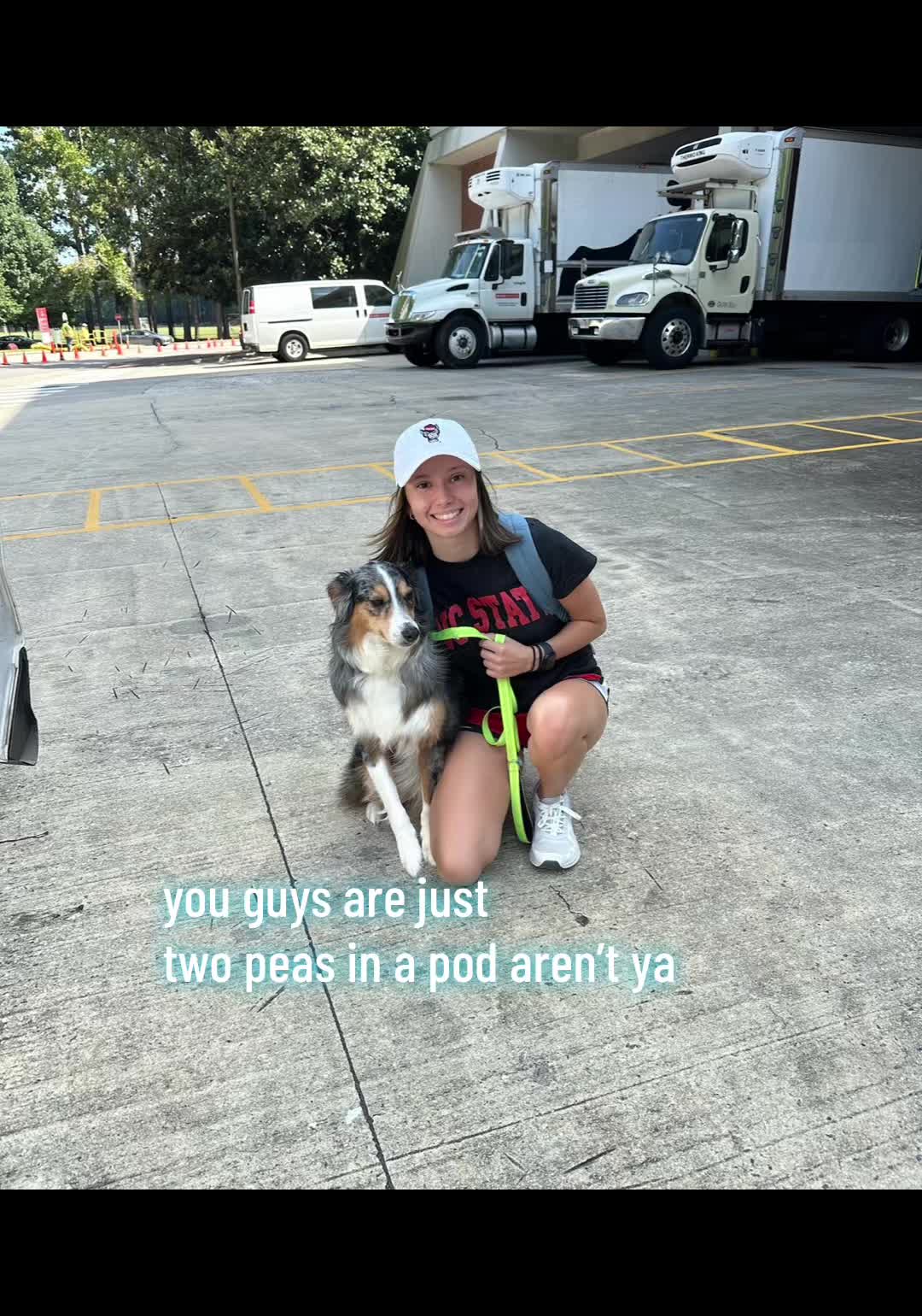 @amber🦕🦖