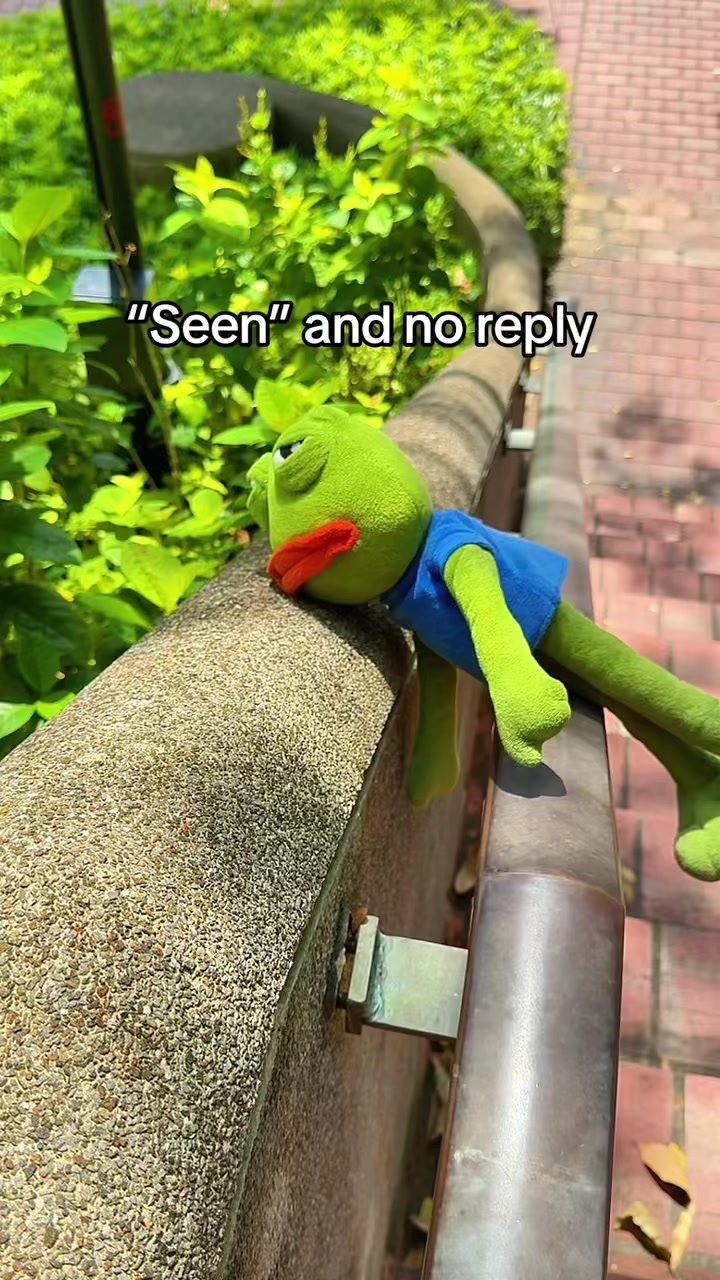 @AdoptAPepe