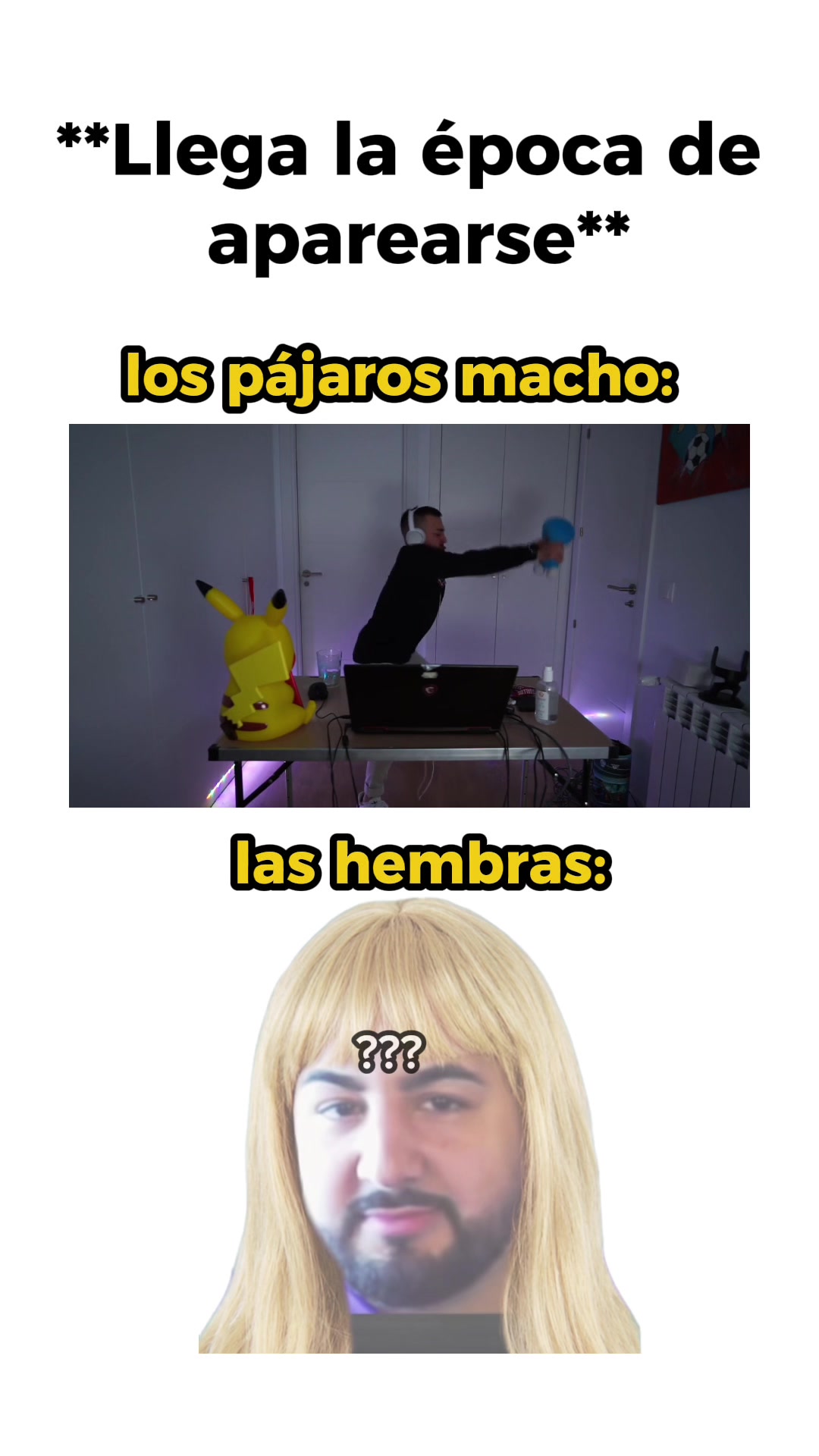 @Papi Gavi