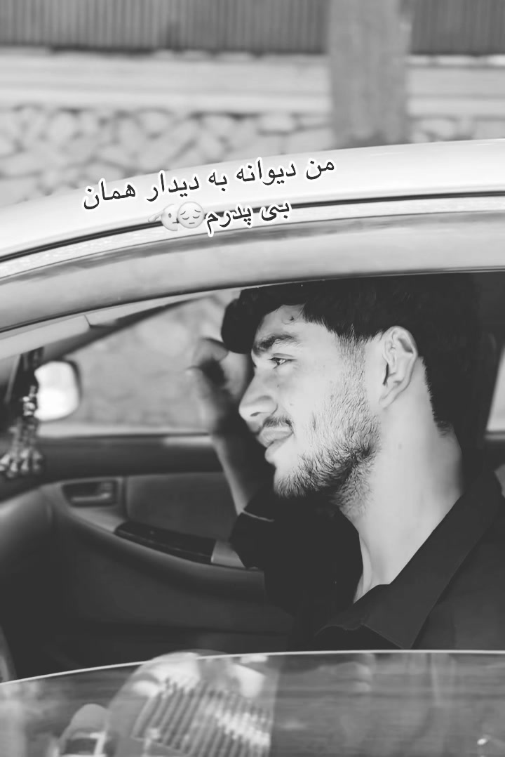 @seyar.48