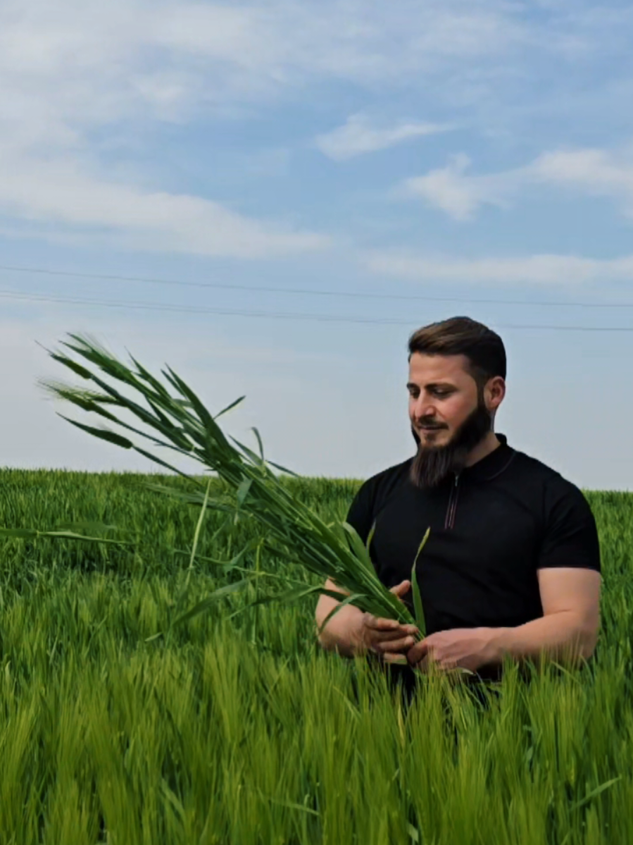 @Farmer ildırım