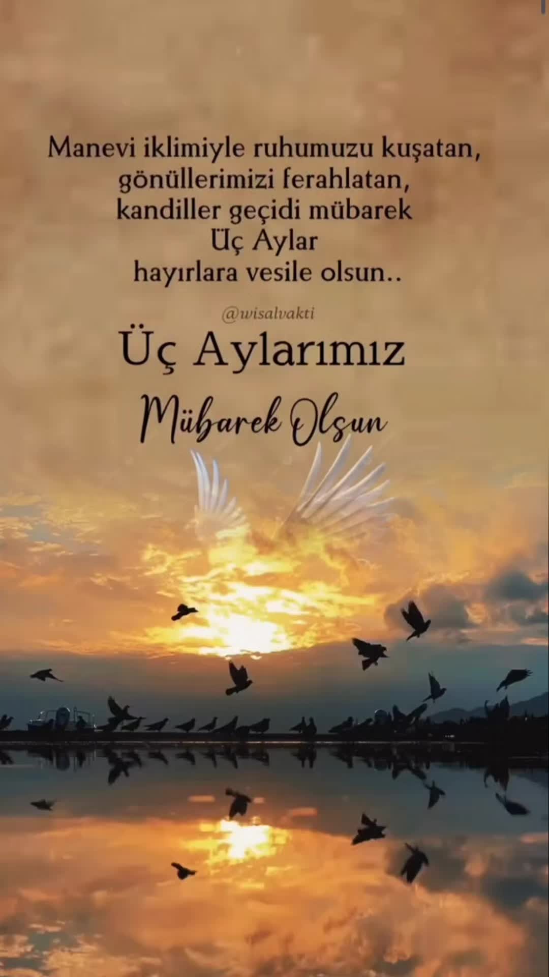 @aysel_ 2734