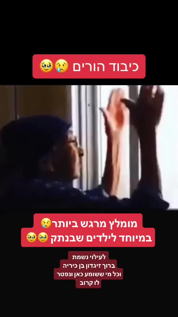 @eyal266