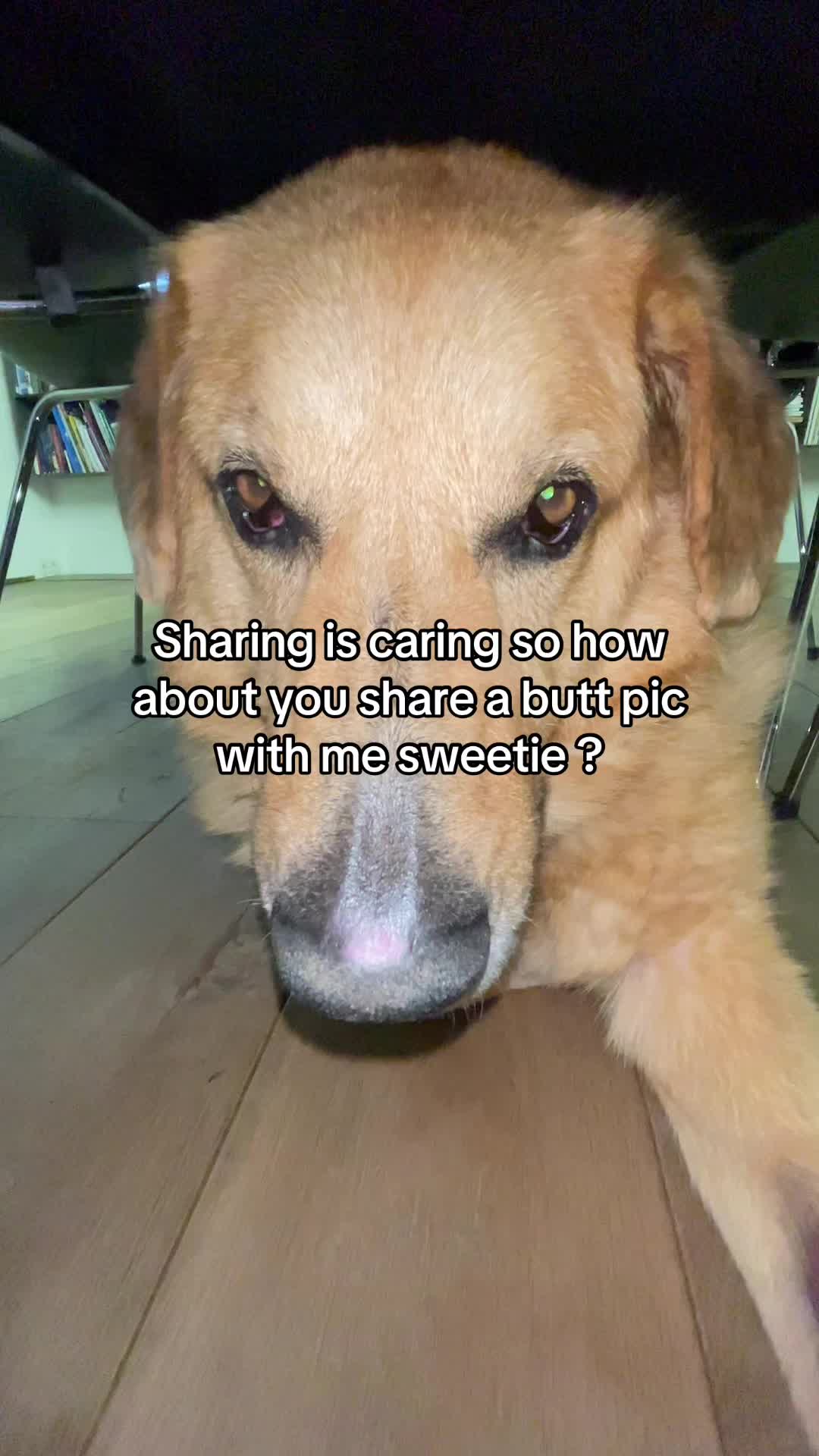 @Neo
