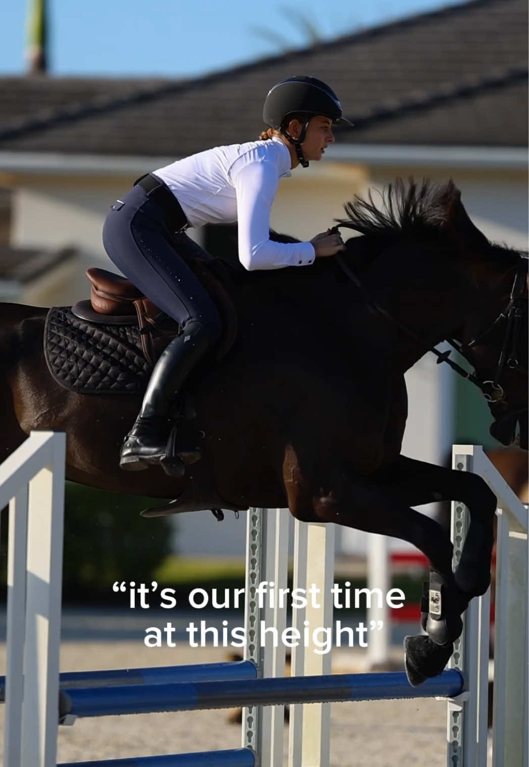 @Sync Equestrian
