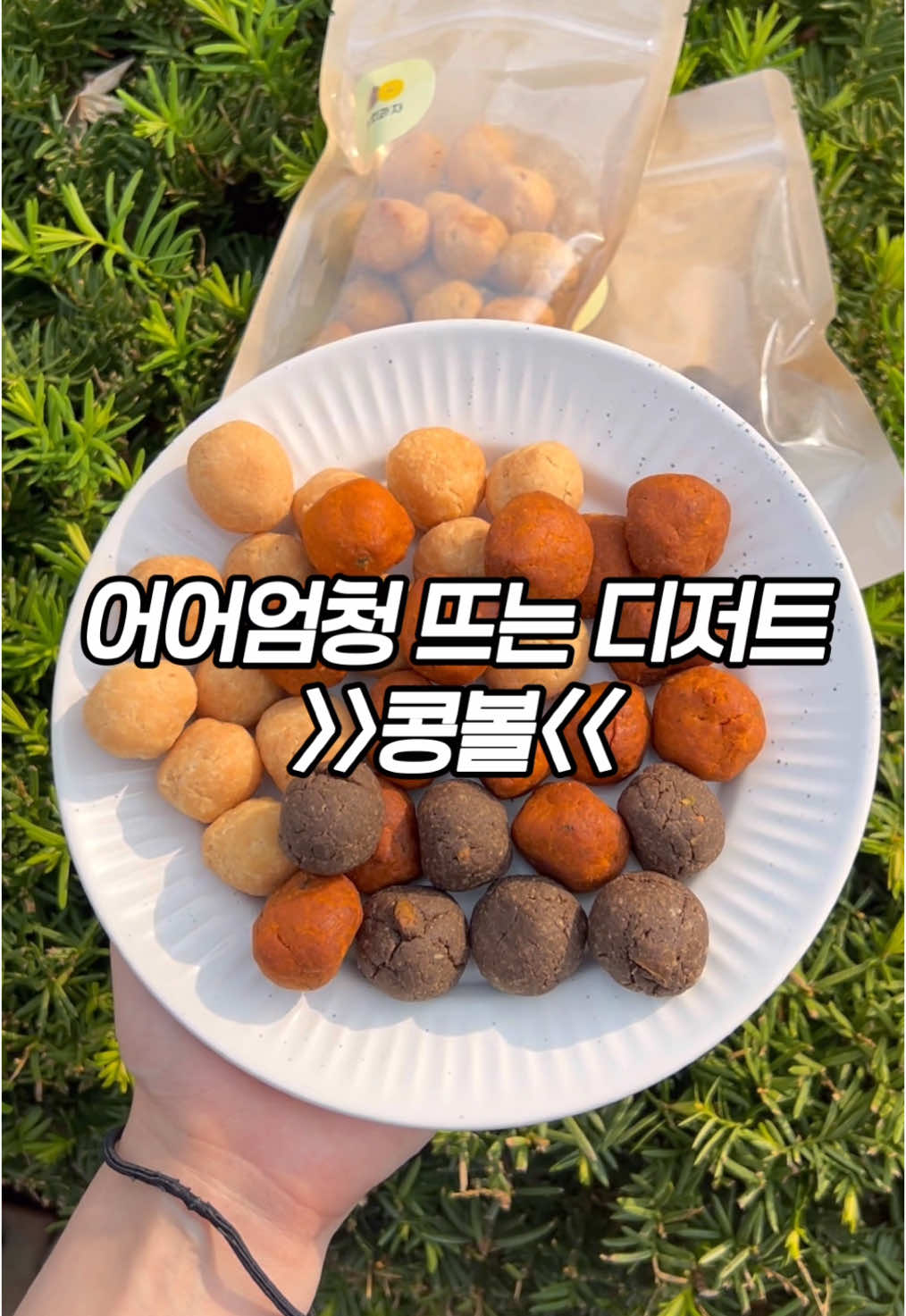@잡식공룡
