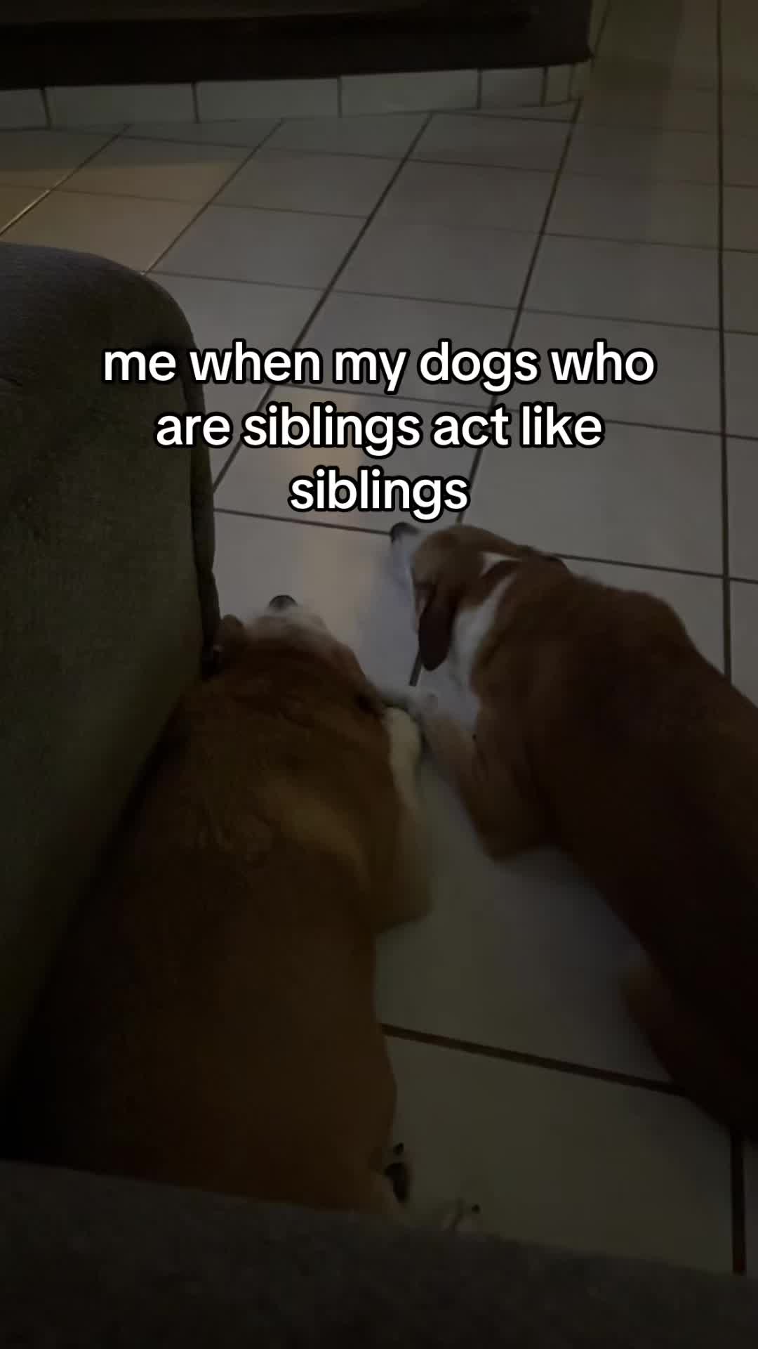 @isa <3