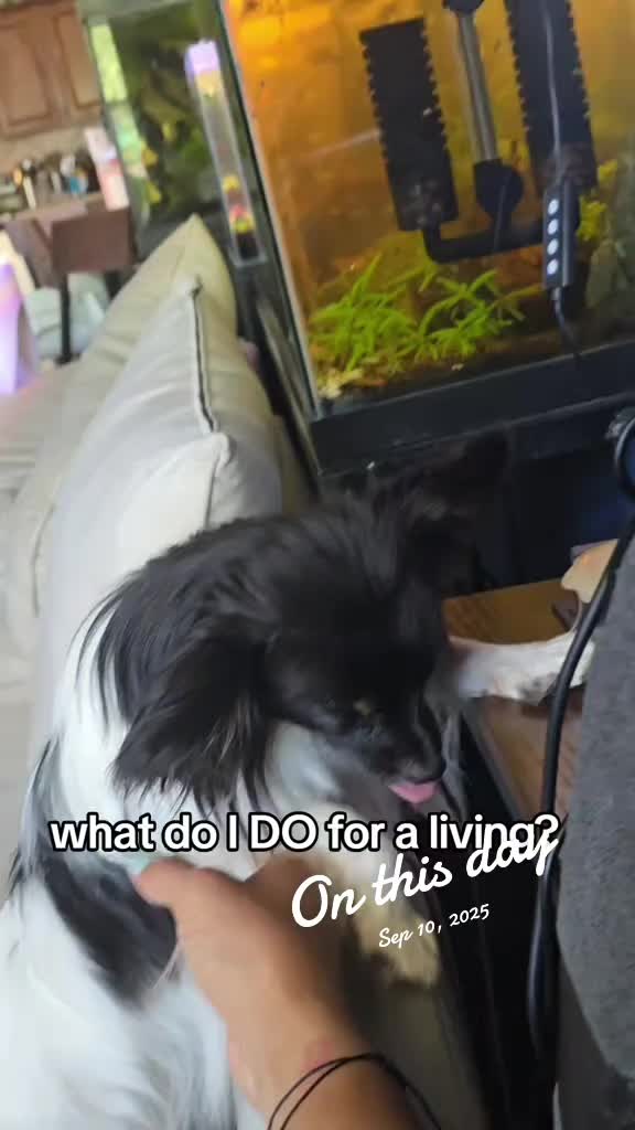 @TheLittleLunaBean